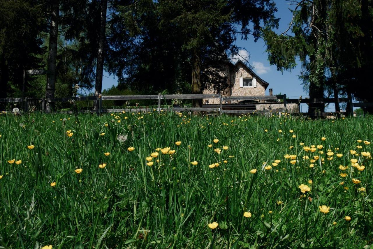 Manoir De Chantemerle Sainte-Fortunade Exteriér fotografie