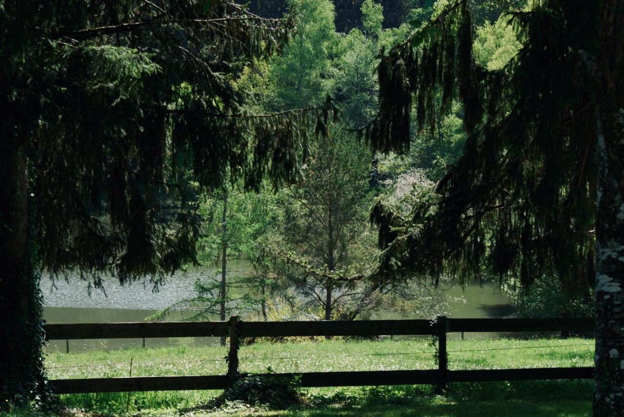 Manoir De Chantemerle Sainte-Fortunade Exteriér fotografie