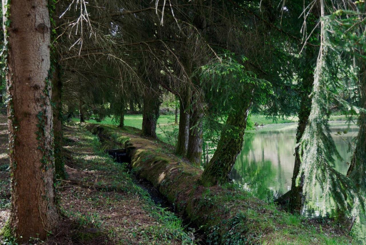 Manoir De Chantemerle Sainte-Fortunade Exteriér fotografie